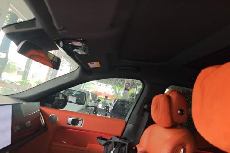 Used Li Auto L9 2023 Pro Model Headliner