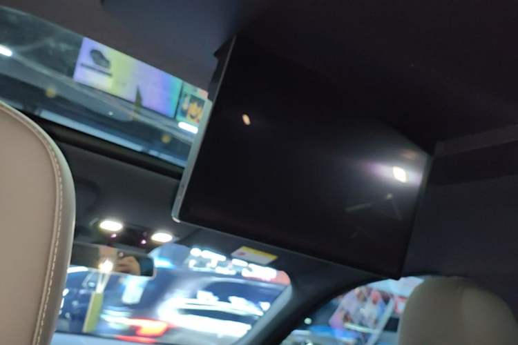 Used Li Auto L9 2023 Pro Model Headliner