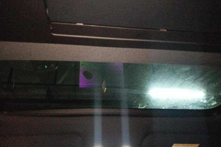 Used Li Auto L9 2023 Pro Model Headliner