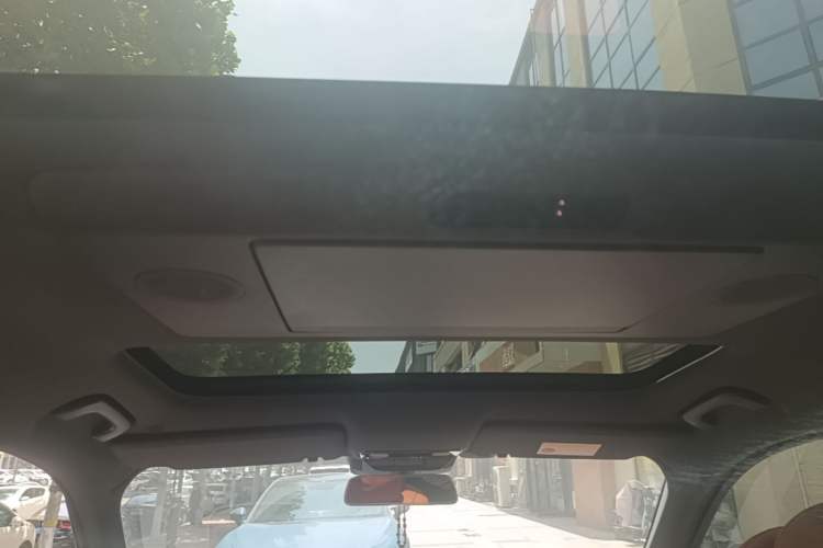 Used Li Auto L9 2023 Pro Model Headliner