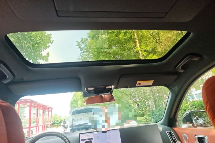 Used Li Auto L9 2023 Pro Model Headliner