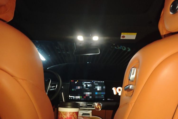 Used Li Auto L9 2023 Pro Model Headliner