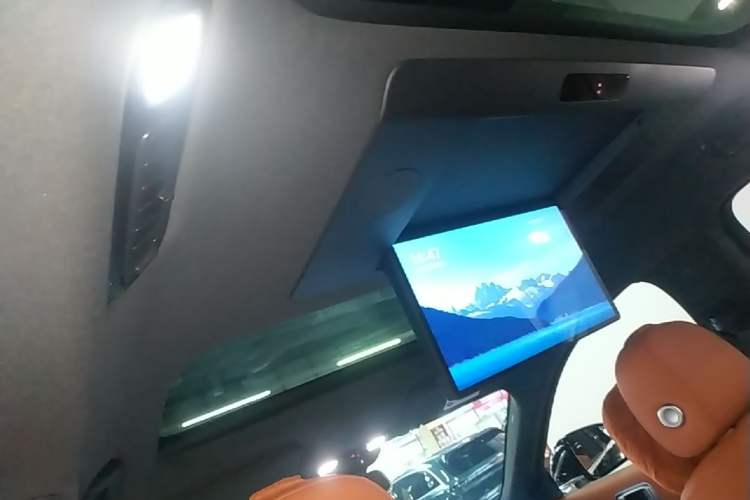 Used Li Auto L9 2023 Pro Model Headliner