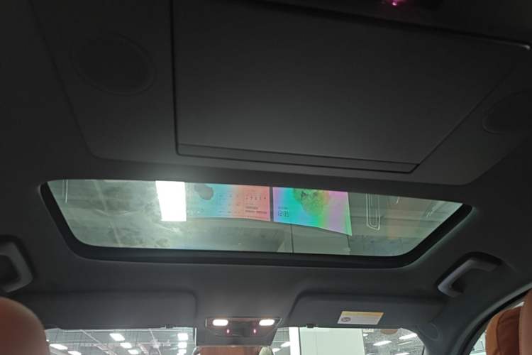 Used Li Auto L9 2023 Pro Model Headliner
