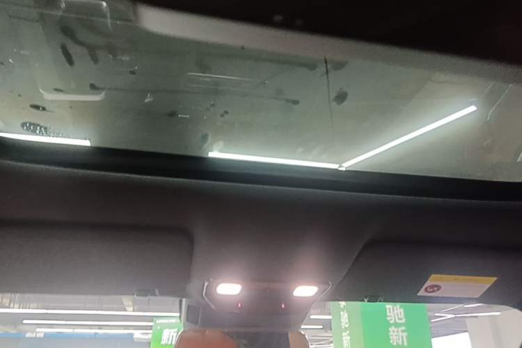 Used Li Auto L9 2023 Pro Model Headliner