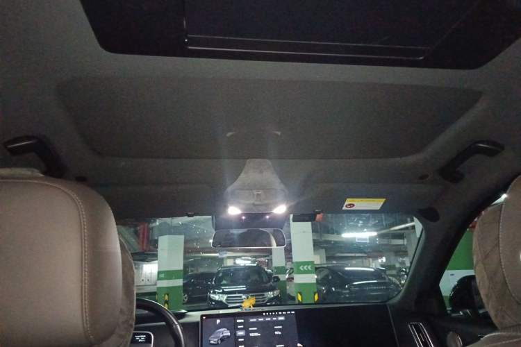 Used Li Auto L9 2023 Pro Model Headliner
