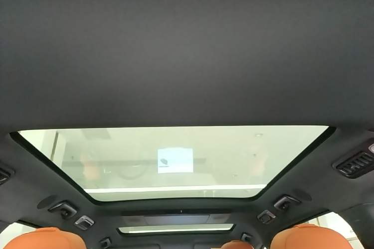 Used Li Auto L9 2023 Pro Model Headliner