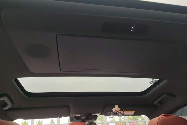 Used Li Auto L9 2023 Pro Model Headliner