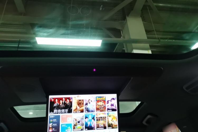 Used Li Auto L9 2023 Pro Model Headliner