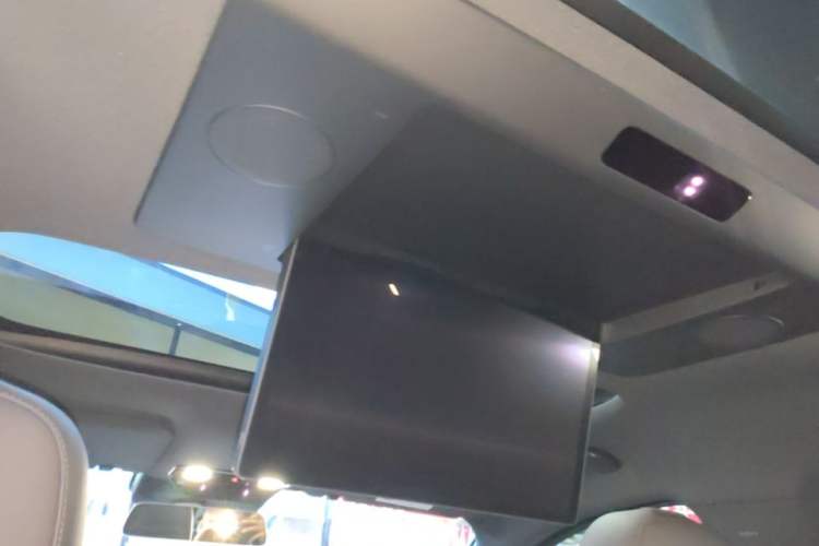 Used Li Auto L9 2023 Pro Model Headliner