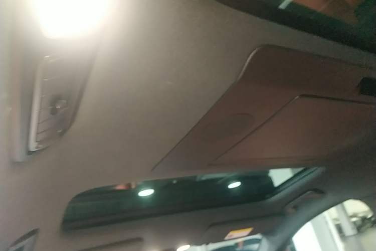 Used Li Auto L9 2023 Pro Model Headliner