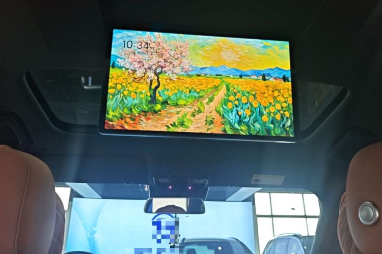 Used Li Auto L9 2023 Pro Model Headliner