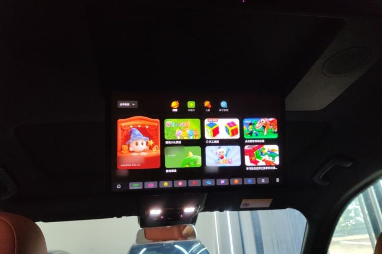 Used Li Auto L9 2023 Pro Model Headliner