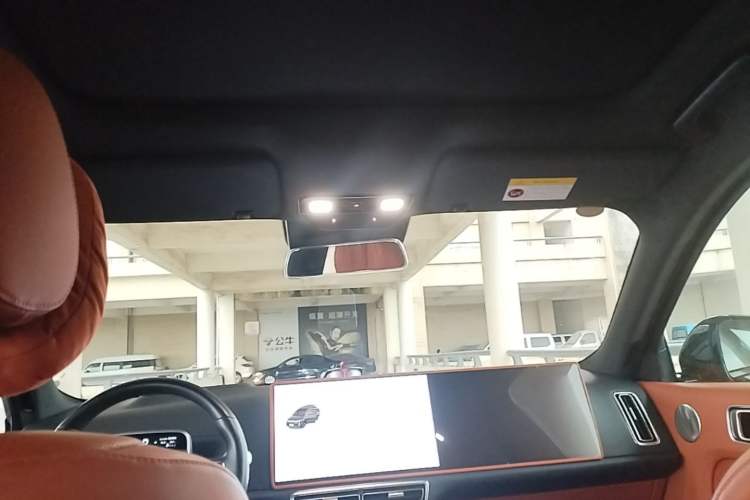 Used Li Auto L9 2023 Pro Model Headliner