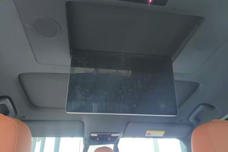 Used Li Auto L9 2023 Pro Model Headliner