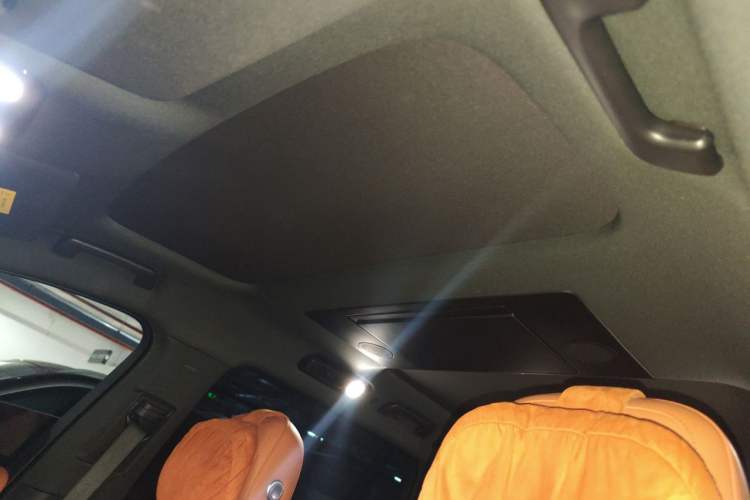 Used Li Auto L9 2023 Pro Model Headliner