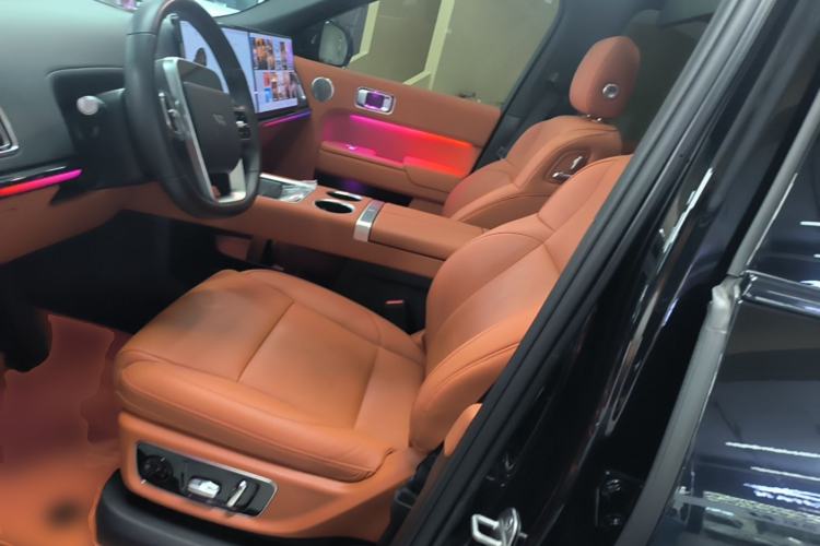 Used Li Auto L9 2023 Pro Model Left Front Seat