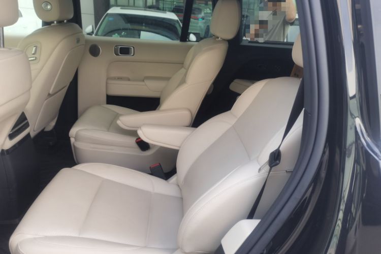 Used Li Auto L9 2023 Pro Model Left Rear Seat