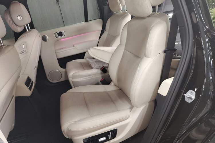 Used Li Auto L9 2023 Pro Model Left Rear Seat