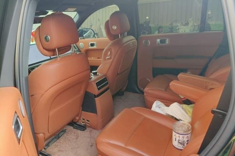 Used Li Auto L9 2023 Pro Model Left Rear Seat