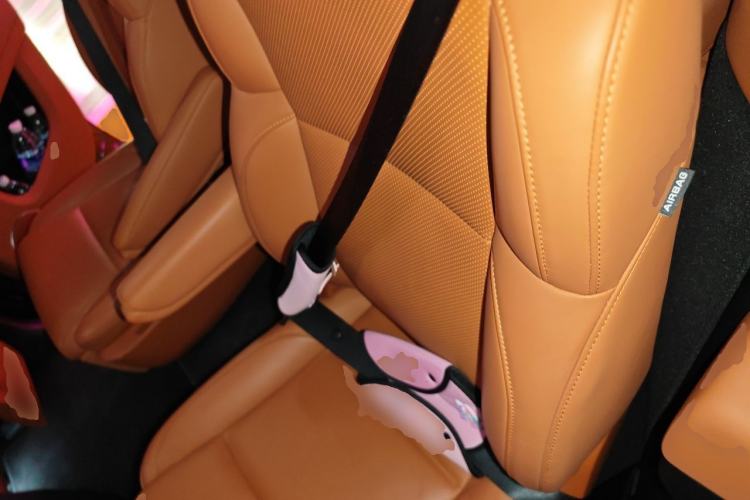 Used Li Auto L9 2023 Pro Model Left Rear Seat