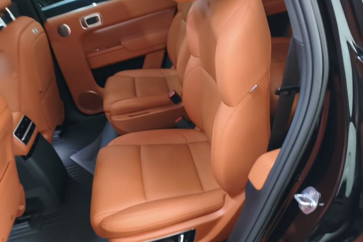 Used Li Auto L9 2023 Pro Model Left Rear Seat