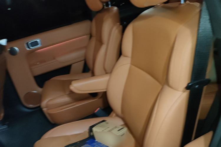 Used Li Auto L9 2023 Pro Model Left Rear Seat
