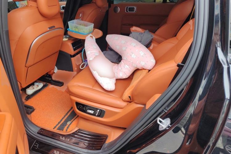 Used Li Auto L9 2023 Pro Model Left Rear Seat