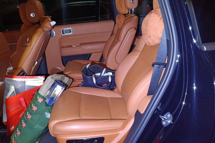 Used Li Auto L9 2023 Pro Model Left Rear Seat