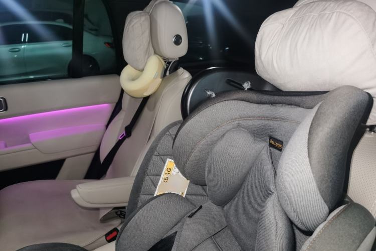 Used Li Auto L9 2023 Pro Model Left Rear Seat