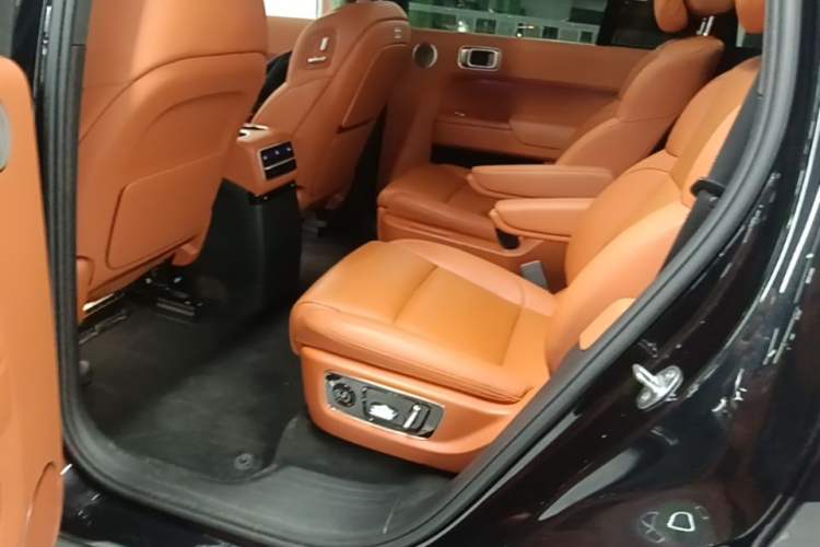 Used Li Auto L9 2023 Pro Model Left Rear Seat