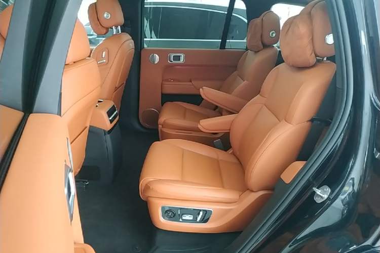 Used Li Auto L9 2023 Pro Model Left Rear Seat