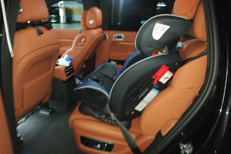 Used Li Auto L9 2023 Pro Model Left Rear Seat