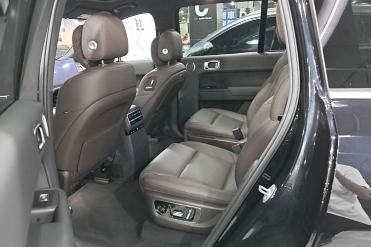 Used Li Auto L9 2023 Pro Model Left Rear Seat