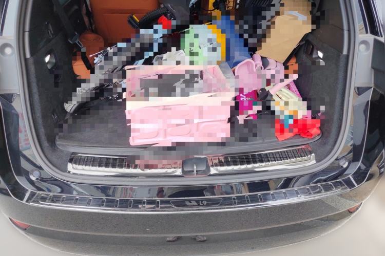 Used Li Auto L9 2023 Pro Model Trunk