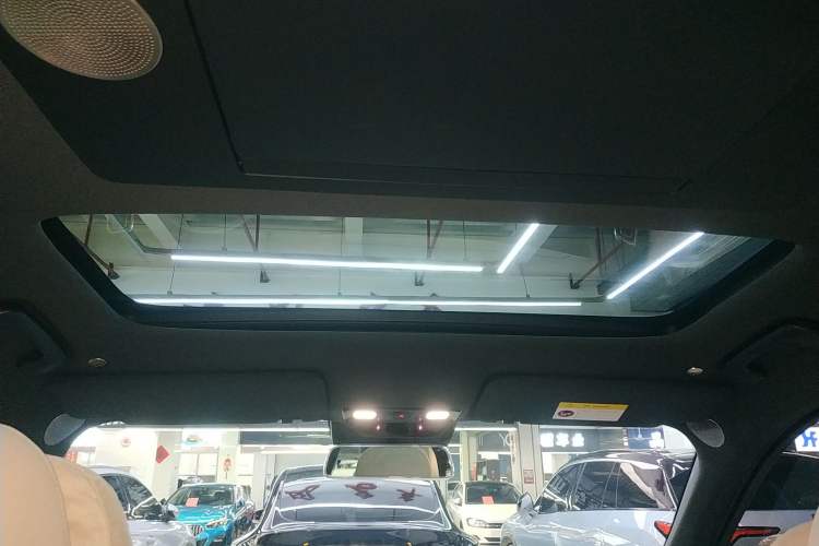 Used Li Auto L9 2023 Pro Model Headliner