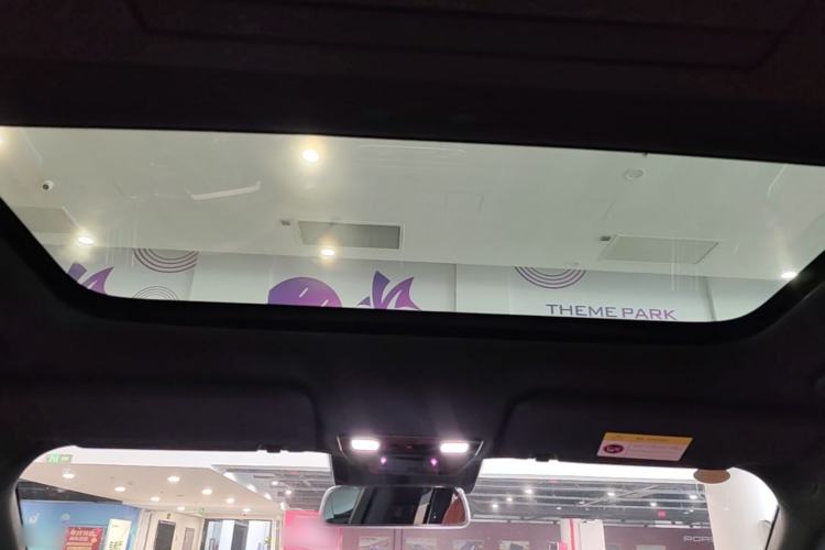 Used Li Auto L9 2023 Pro Model Headliner