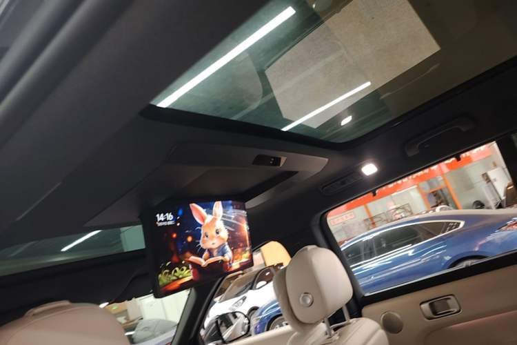 Used Li Auto L9 2023 Pro Model Headliner