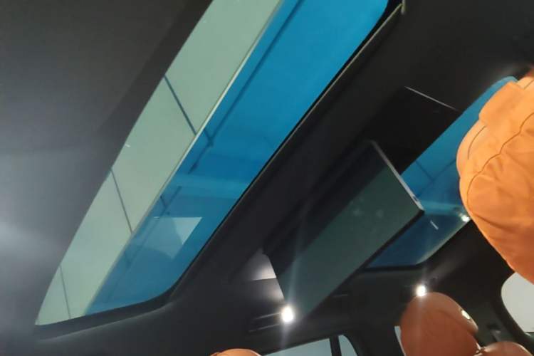 Used Li Auto L9 2023 Pro Model Headliner