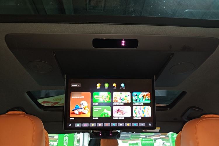 Used Li Auto L9 2023 Pro Model Headliner