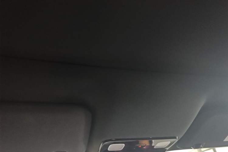 Used Li Auto L9 2023 Pro Model Headliner