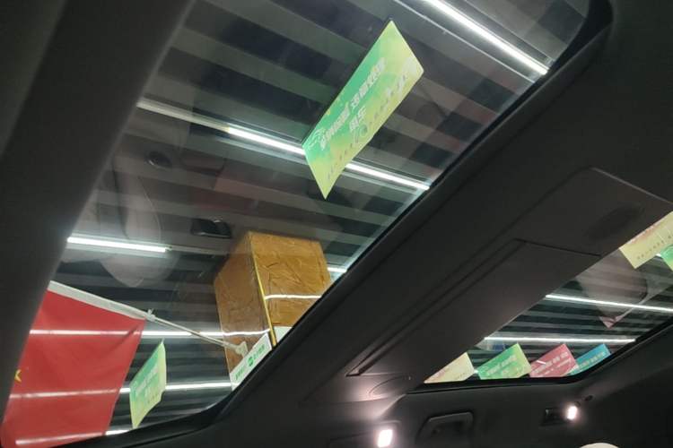 Used Li Auto L9 2023 Pro Model Headliner