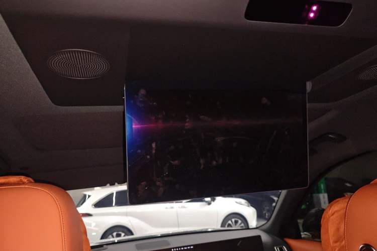 Used Li Auto L9 2023 Pro Model Headliner