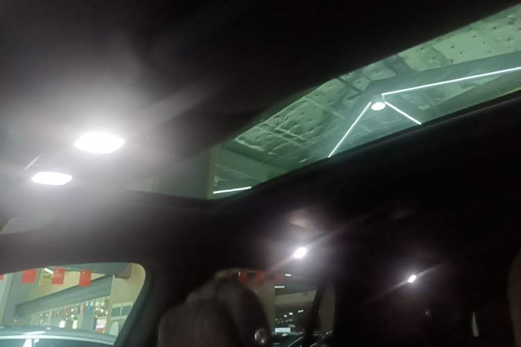Used Li Auto L9 2023 Pro Model Headliner