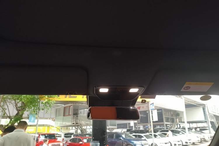Used Li Auto L9 2023 Pro Model Headliner