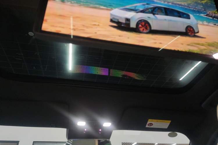 Used Li Auto L9 2023 Pro Model Headliner
