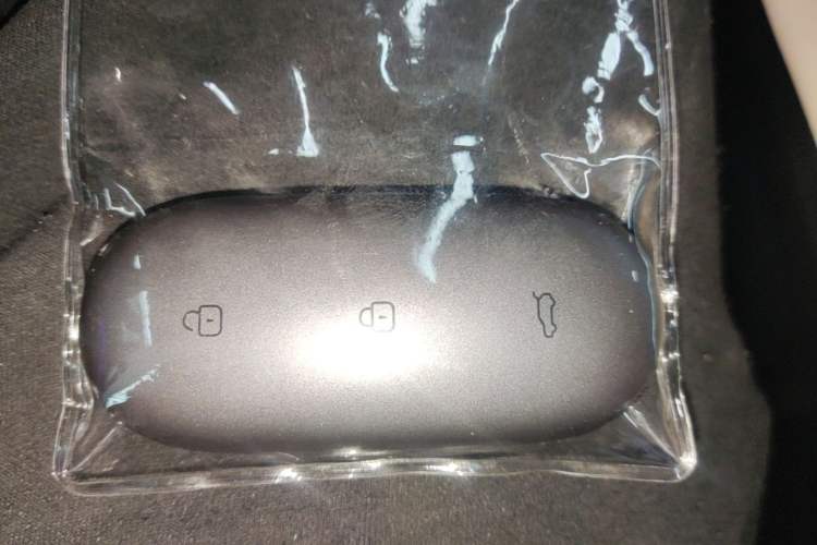 Used Li Auto L9 2023 Pro Model Interior 1