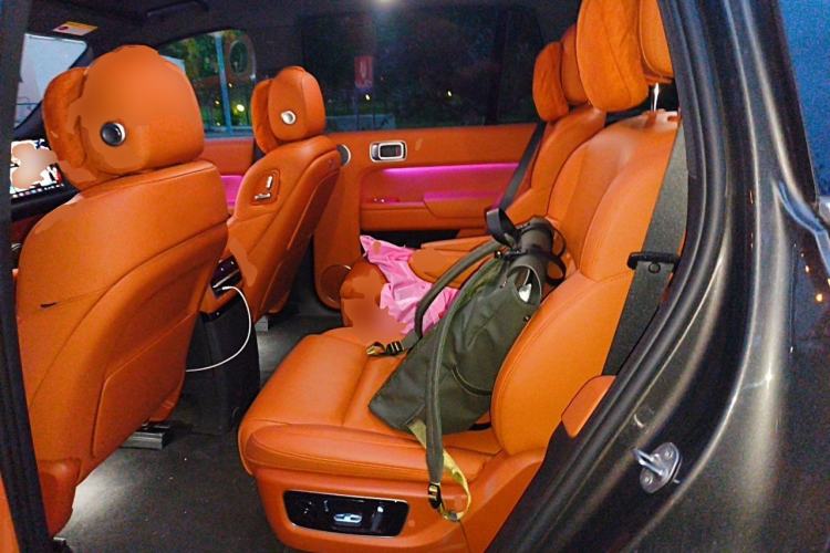 Used Li Auto L9 2023 Pro Model Left Rear Seat
