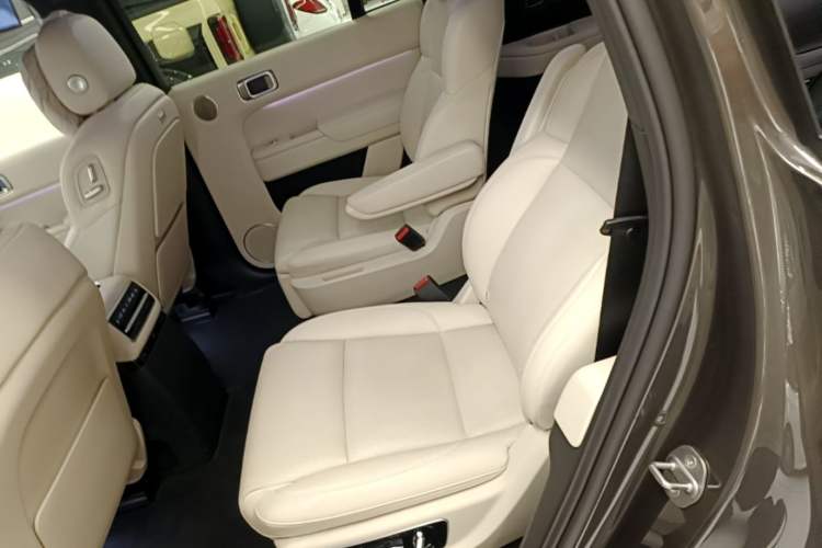 Used Li Auto L9 2023 Pro Model Left Rear Seat