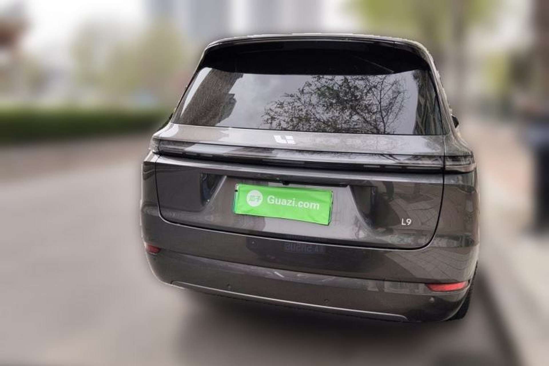 Used Li Auto L9 2023 Pro Model Rear